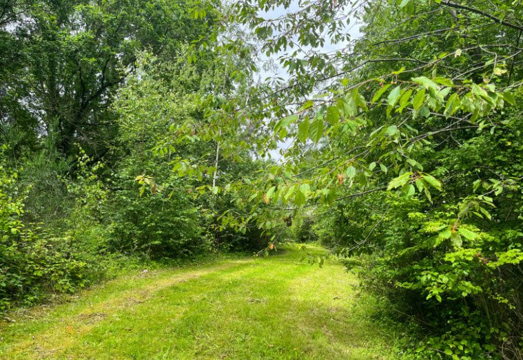 Arboretum de La Roche-Guyon, La Roche-Guyon, France, France